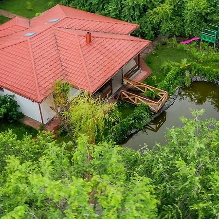 Casa Arcadia 1 Piscina,Jacuzzi, Sauna Buzău Dış mekan fotoğraf