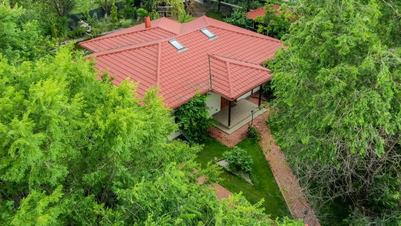Casa Arcadia 1 Piscina,Jacuzzi, Sauna Buzău Dış mekan fotoğraf