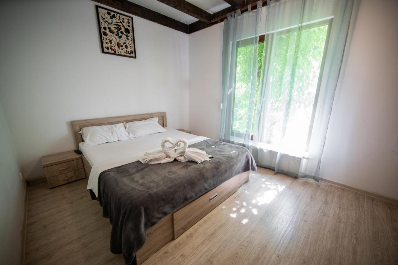 Casa Arcadia 1 Piscina,Jacuzzi, Sauna Buzău Dış mekan fotoğraf