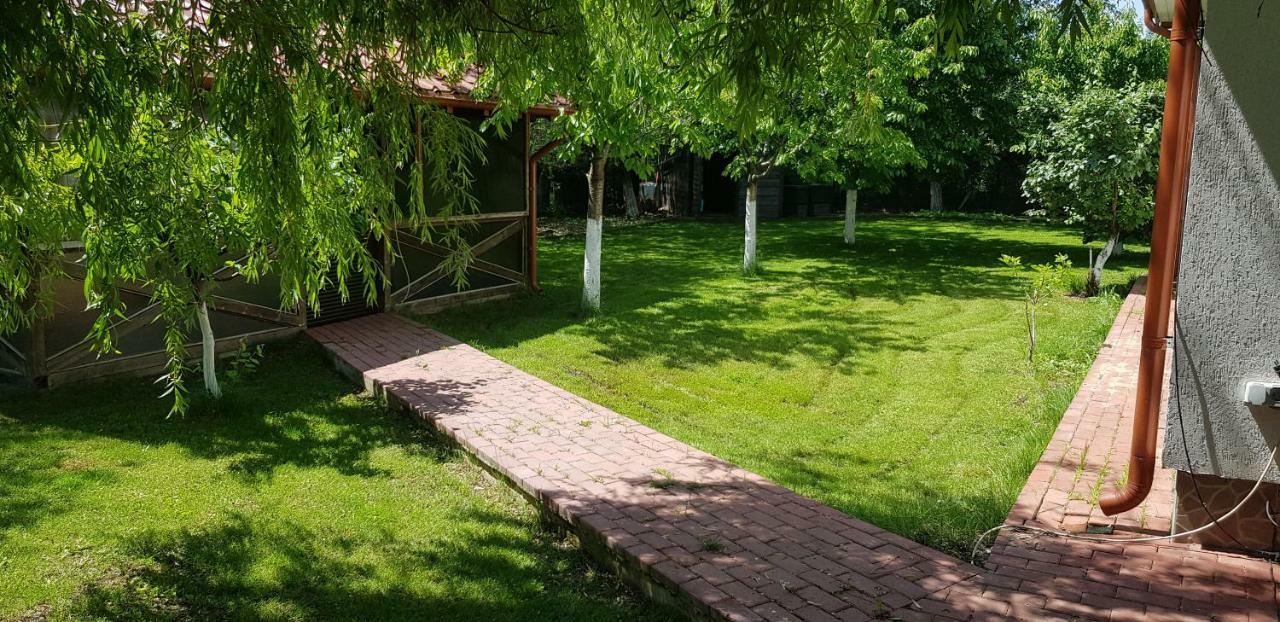 Casa Arcadia 1 Piscina,Jacuzzi, Sauna Buzău Dış mekan fotoğraf